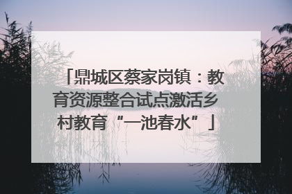 鼎城区蔡家岗镇：教育资源整合试点激活乡村教育“一池春水”