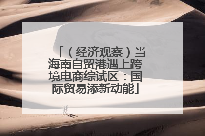 （经济观察）当海南自贸港遇上跨境电商综试区：国际贸易添新动能