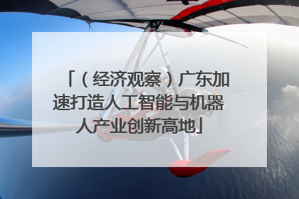 （经济观察）广东加速打造人工智能与机器人产业创新高地