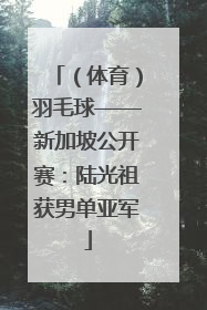 （体育）羽毛球——新加坡公开赛：陆光祖获男单亚军