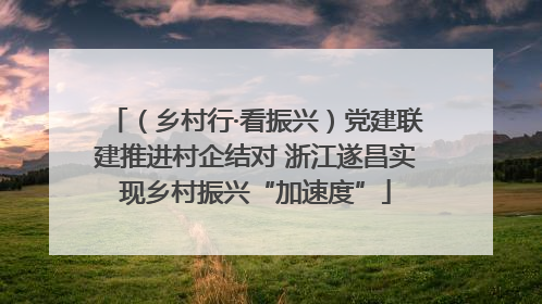 （乡村行·看振兴）党建联建推进村企结对 浙江遂昌实现乡村振兴“加速度”