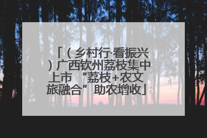 （乡村行·看振兴）广西钦州荔枝集中上市 “荔枝+农文旅融合”助农增收
