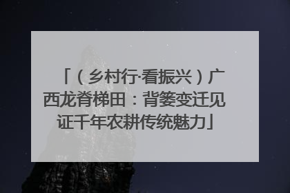 （乡村行·看振兴）广西龙脊梯田：背篓变迁见证千年农耕传统魅力