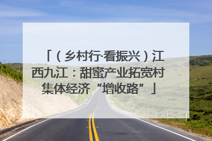 （乡村行·看振兴）江西九江：甜蜜产业拓宽村集体经济“增收路”