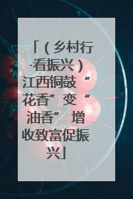 （乡村行·看振兴）江西铜鼓“花香”变“油香” 增收致富促振兴