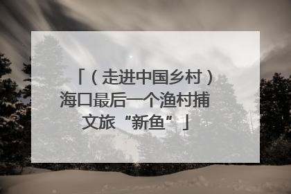 （走进中国乡村）海口最后一个渔村捕文旅“新鱼”