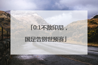 0:1不敌印尼，国足告别世预赛