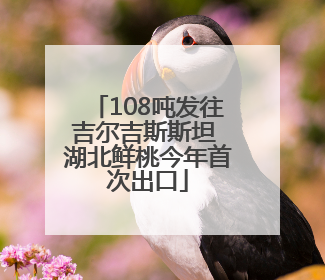 108吨发往吉尔吉斯斯坦 湖北鲜桃今年首次出口