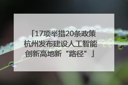 17项举措20条政策 杭州发布建设人工智能创新高地新“路径”