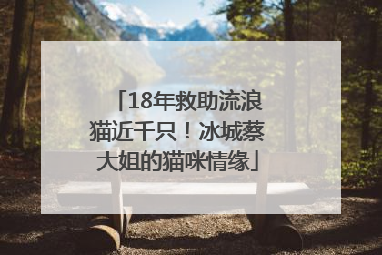 18年救助流浪猫近千只！冰城蔡大姐的猫咪情缘