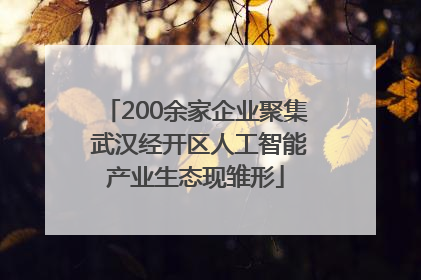 200余家企业聚集 武汉经开区人工智能产业生态现雏形