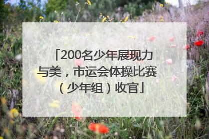 200名少年展现力与美，市运会体操比赛（少年组）收官