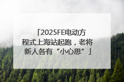 2025FE电动方程式上海站起跑，老将新人各有“小心思”