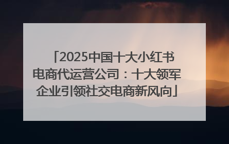 2025中国十大小红书电商代运营公司：十大领军企业引领社交电商新风向