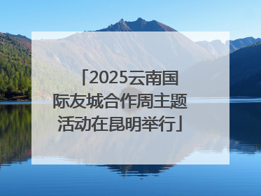 2025云南国际友城合作周主题活动在昆明举行