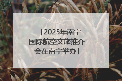 2025年南宁国际航空文旅推介会在南宁举办