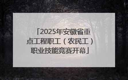 2025年安徽省重点工程职工（农民工）职业技能竞赛开幕
