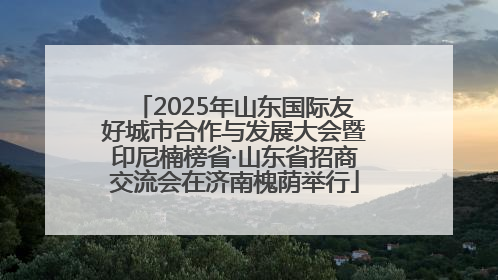 2025年山东国际友好城市合作与发展大会暨印尼楠榜省·山东省招商交流会在济南槐荫举行