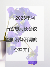 2025年河南省总河长会议暨防汛备汛调度会召开