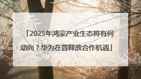 2025年鸿蒙产业生态将有何动向？华为在蓉释放合作机遇