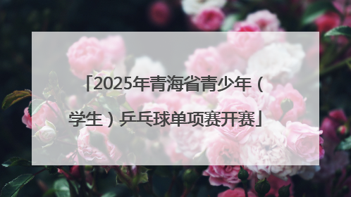 2025年青海省青少年（学生）乒乓球单项赛开赛