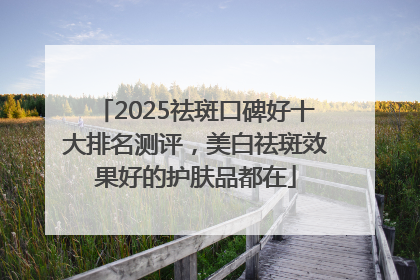 2025祛斑口碑好十大排名测评，美白祛斑效果好的护肤品都在
