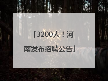 3200人！河南发布招聘公告