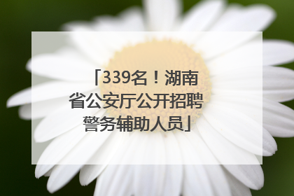 339名！湖南省公安厅公开招聘警务辅助人员