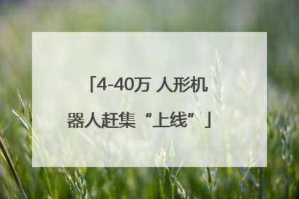 4-40万 人形机器人赶集“上线”