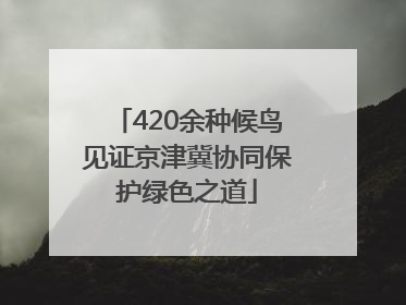420余种候鸟见证京津冀协同保护绿色之道