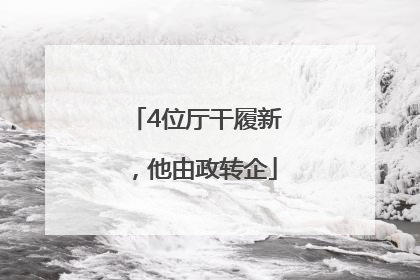 4位厅干履新，他由政转企
