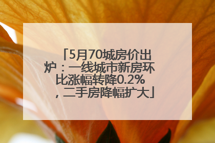 5月70城房价出炉：一线城市新房环比涨幅转降0.2%，二手房降幅扩大