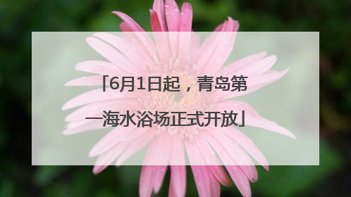 6月1日起，青岛第一海水浴场正式开放