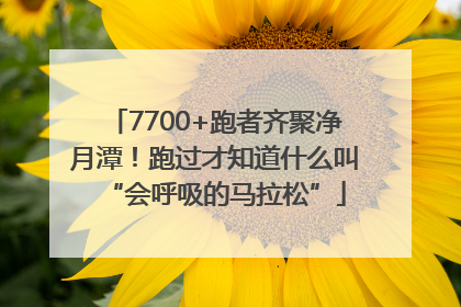 7700+跑者齐聚净月潭！跑过才知道什么叫“会呼吸的马拉松”