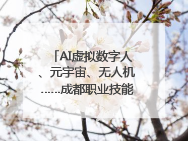 AI虚拟数字人、元宇宙、无人机……成都职业技能大赛启动