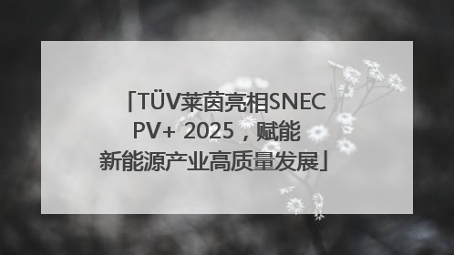 TÜV莱茵亮相SNEC PV+ 2025，赋能新能源产业高质量发展